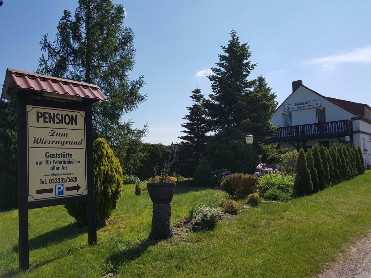 Pension Zum Wiesengrund Frauenhagen ภายนอก รูปภาพ
